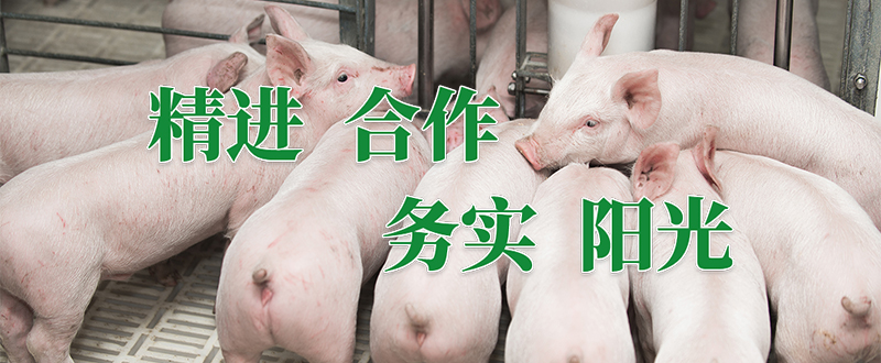 常加（上海）農業科技有限公司