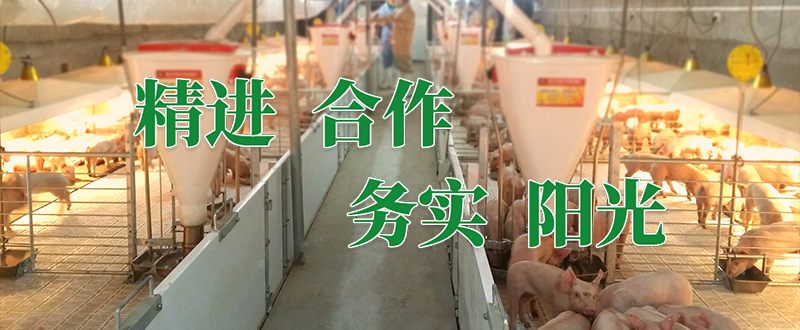 常加（上海）農業科技有限公司